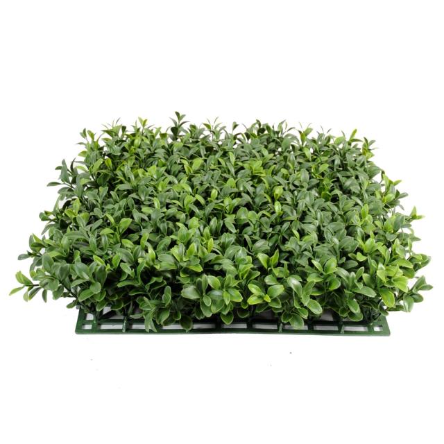 Buis Artificiel Plaque NEW *300