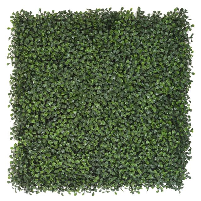 Buis Artificiel Plaque 50*50